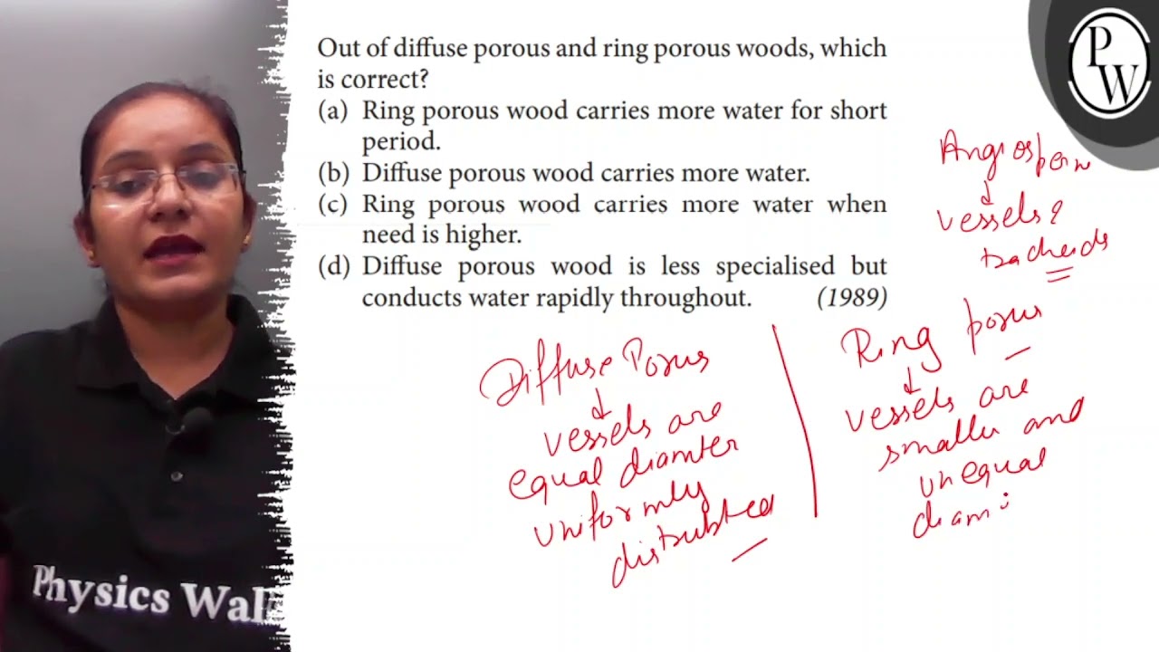 Difference between Ring porous wood &diffuse porous wood. - YouTube