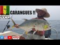 Tripl de carangues avec divan stefano et didier mai 2023  guinea fishing camp