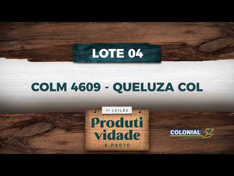 LOTE 04   COLM 4609