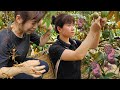 Full harvest star apple soybean peanut fields snail go to market sell gardening  farming