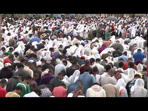 memehir girma wondimu bmalda myaz part tow programmemehir girma