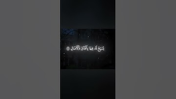 القارئ محمد اللحيدان | سورة النور #القارئ #محمد_اللحيدان  #سورة_النور  #قران #quran #قران_كريم