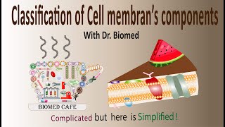 Classification of cell membrane‘s components: Lipids, Proteins, Carbohydrates