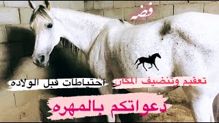 # فلوق (60) فضه قربت تنتج🐎 دعواتكم بالمهره😇 by عامر ال منجم 23,360 views 2 years ago 9 minutes, 17 seconds