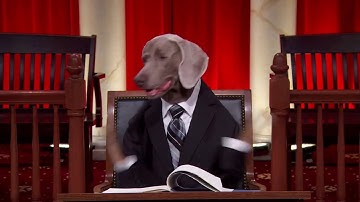 Lafler v. Cooper: Oral Argument - October 31, 2011