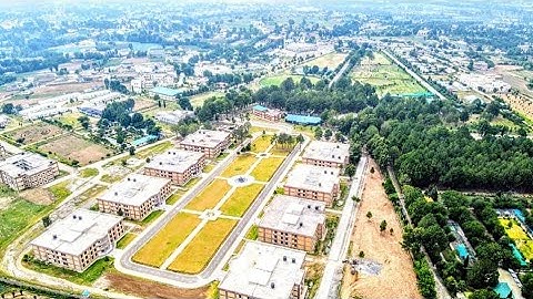 Curvilinear coordinates and first fundamental magnitude