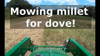 Mowing millet for dove season, planting deer plots and firewood! John deere 4066R