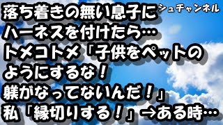 落ち着きの無い息子にハーネスを付けたら…トメコトメ「子供をペットのようにするな！躾がなってないんだ！」私「縁切りする！」→ある時… 【スカッと】