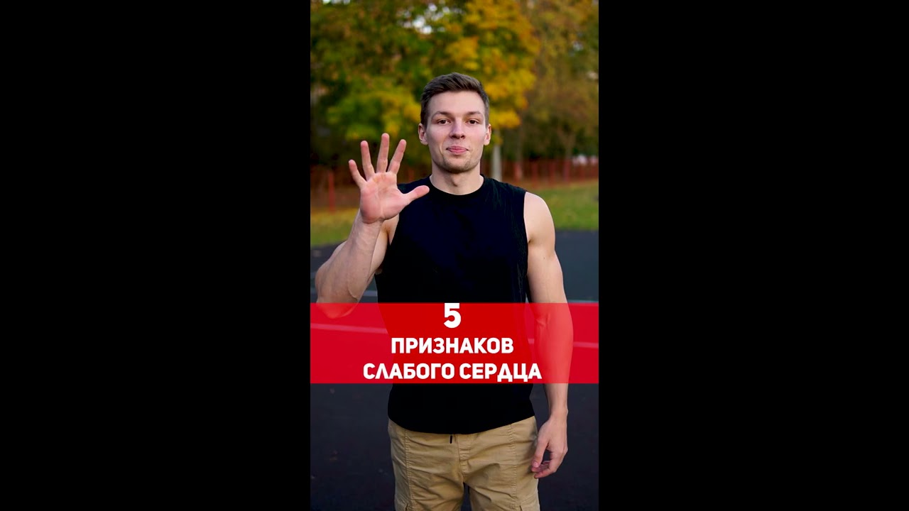 влияние бега на сердечно-сосудистую систему