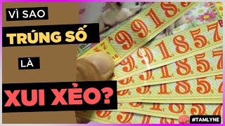 Vì sao TRÚNG SỐ là XUI XẺO? [TamLyNe - DLDBTT]