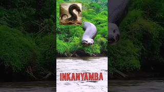 Inkanyamba VS American Horned Serpent #inkanyamba #nkanyamba #inkanyambaSA