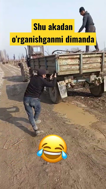 Kulguli video'lar. Obuna bo'lishni unutmang ❤️