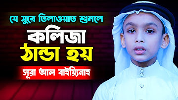 অন্তর জুড়ানো কুরআন তিলাওয়াত সূরা আল বাইয়্যিনাহ سورة البينة Surah Al Bayyinah Beautiful Quran