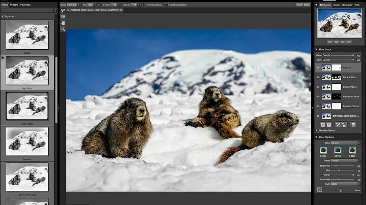 SCREENCAST: Editing the Marmots of Rainier
