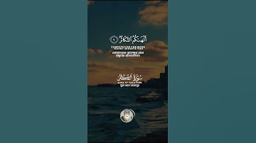 سورة التكاثر SURAH At-Takathur #عبدالولي_الاركاني #abdulwali_alarkani