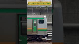 JR東日本 湘南新宿ライン E233系3000番台E12編成 + E231系S12編成 (海側・鉄道サイドビュー) 【JR EAST 2023.8 / TRAIN SCAN】