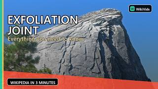 Exfoliation joint