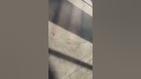 Cân treo điện tử OCS 1 tấn, 2 tấn, 3 tấn, 5 tấn, 10 tấn