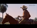 Sertanejo typical brazilian country music farmers sertanejo   