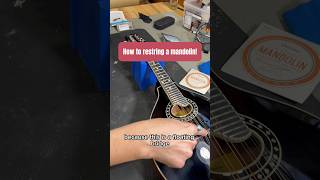 How to change your mandolin strings!#mandolin #guitartech #mandolintutorial #guitarstrings
