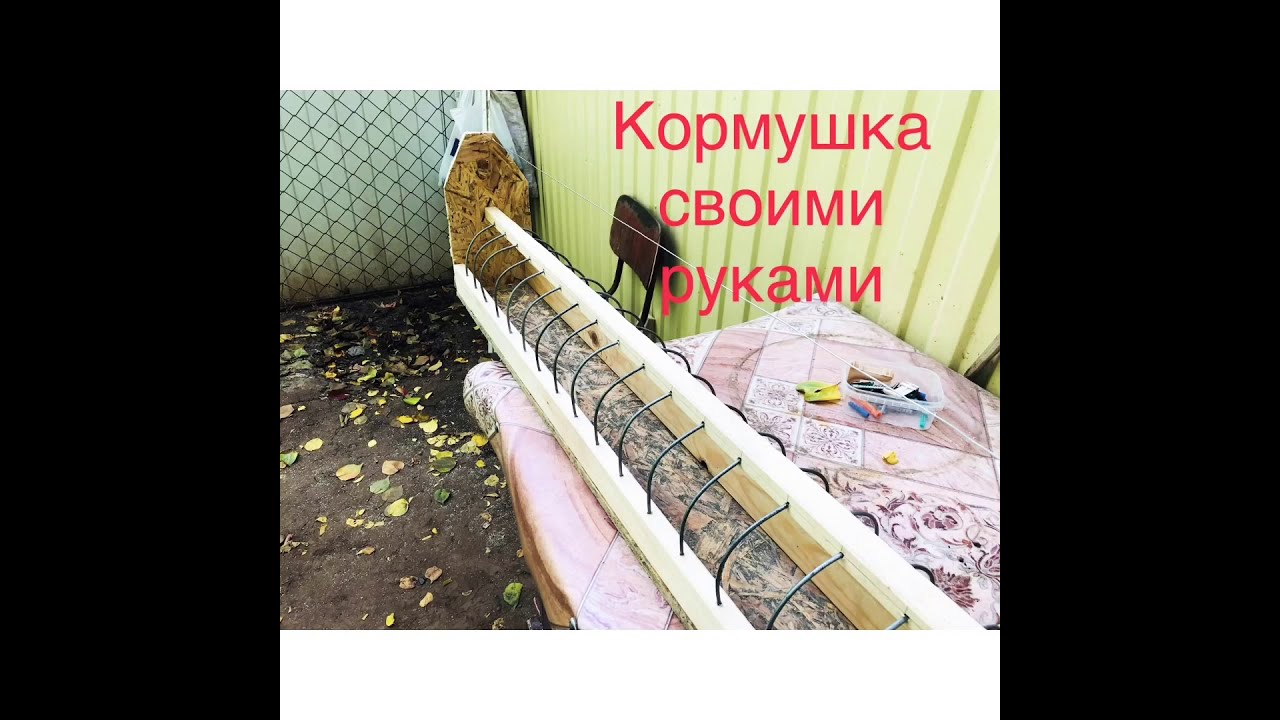 Кормушка для голубей дешёвая и удобная своим руками