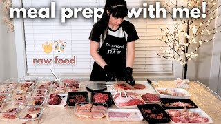 Full Raw Meal Prep For My Dog And Cat (15 Days)