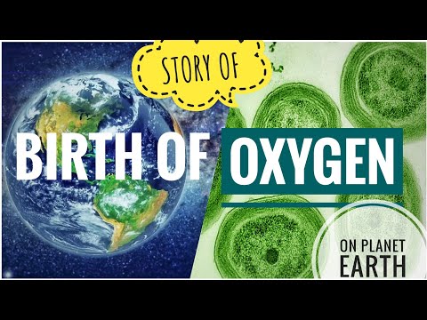 Video: Wat veroorzaakte de zuurstofrevolutie?