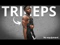 TRICEPS WORKOUT AT HOME / BODYWEIGHT VERSION - GET FIT AT HOME THIS YEAR