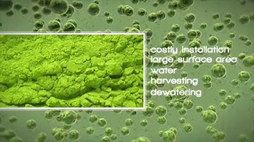 ALGADISK - Novel algae-based solution for CO2 capture and biomass production
