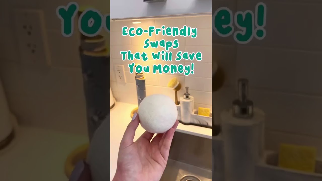 Eco-Friendly Swaps That Will Save You MONEY 💰🌎💚 #ecofriendly #reusable #zerowaste #shorts