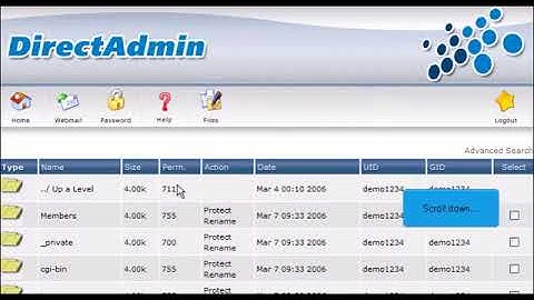 7) How to use File Manager in Direct Admin