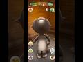 talking Tom cat 🐈😺 #shorts #talkingtom #funny #youtubeshort