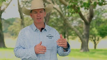 Managing a soil carbon project