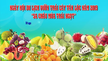 NGÀY HỘI DU LỊCH VƯỜN TRÁI CÂY TÂN LỘC NĂM 2019