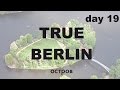 TRUE BERLIN day 19 Маленький остров / Insel Berlin