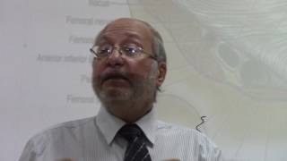 GIT module 8 Inguinal ligament by Dr Wa an