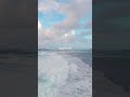 New video by One Music Network on YouTube