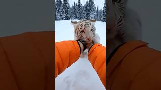 Kontent Xayotiymi yoki nereal🤔 #nature #rek #uzbekistan #hayotiy #real #relax #pov #life #live #us