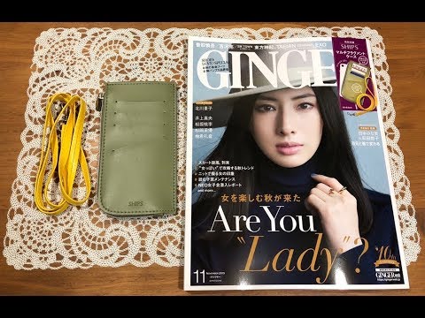 雑誌付録 Ginger ジンジャー 11月号 Ships マルチフラグメントケース Youtube