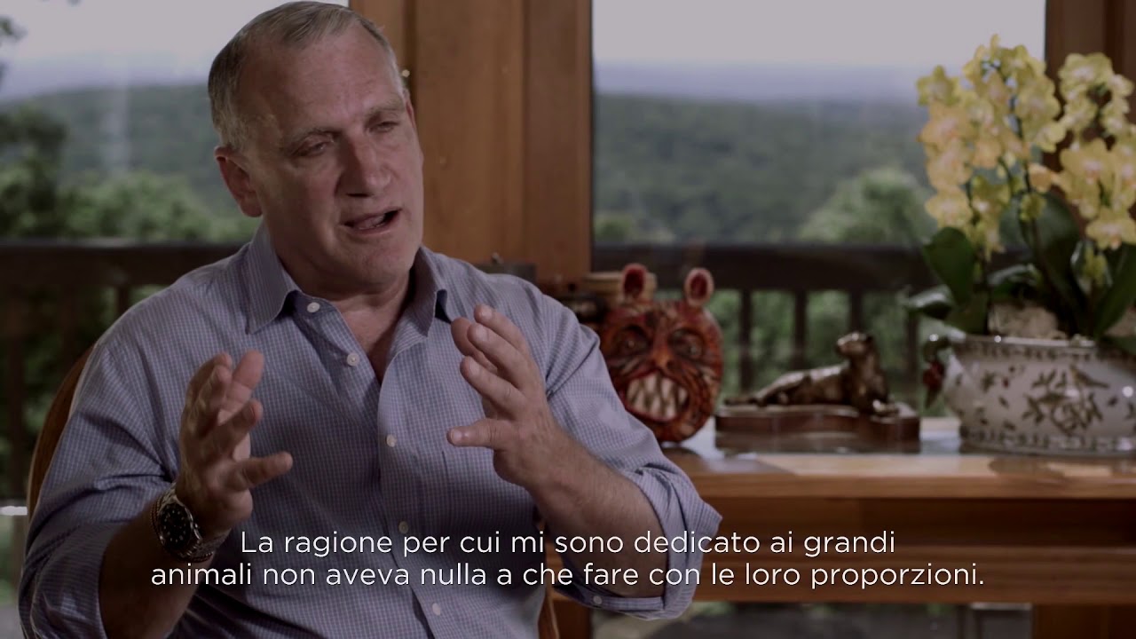 Alan Rabinowitz Alan Rabinowitz - Big Cat Conservation (Sottotitoli in italiano) - YouTube