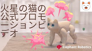 Marscat | 火星の猫の公式プロモーションビデオ