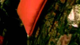 Curio Trailer 2