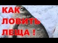 КАК   ЛОВИТЬ  ЛЕЩА !!!