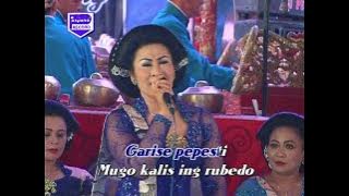 Mbalik Tresno - Mbok Yo Eling - Sutriani - Hartatik - Live Show Tayub Setyo Pradonggo Tulungagung