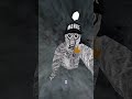 New Name Skin And PFP! #gorillatag #gorillatagquest #vr