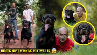 India’s Most winning Rottweiler Dog in Delhi😱| Bahuguna Den Kennel