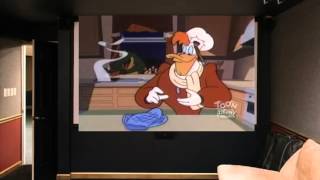 Darkwing Duck   116   Can't Bayou Love