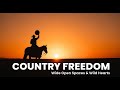 The Golden Age of Country Love Songs: 70s &amp; 80s