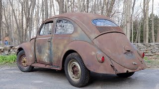 Forgotten 1955 Vw Beetle Found : Garage Find .