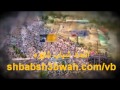 ما باك ما باك يالي قلت لي ما تباني ما باك ما باك يالي قلت لي ما تباني